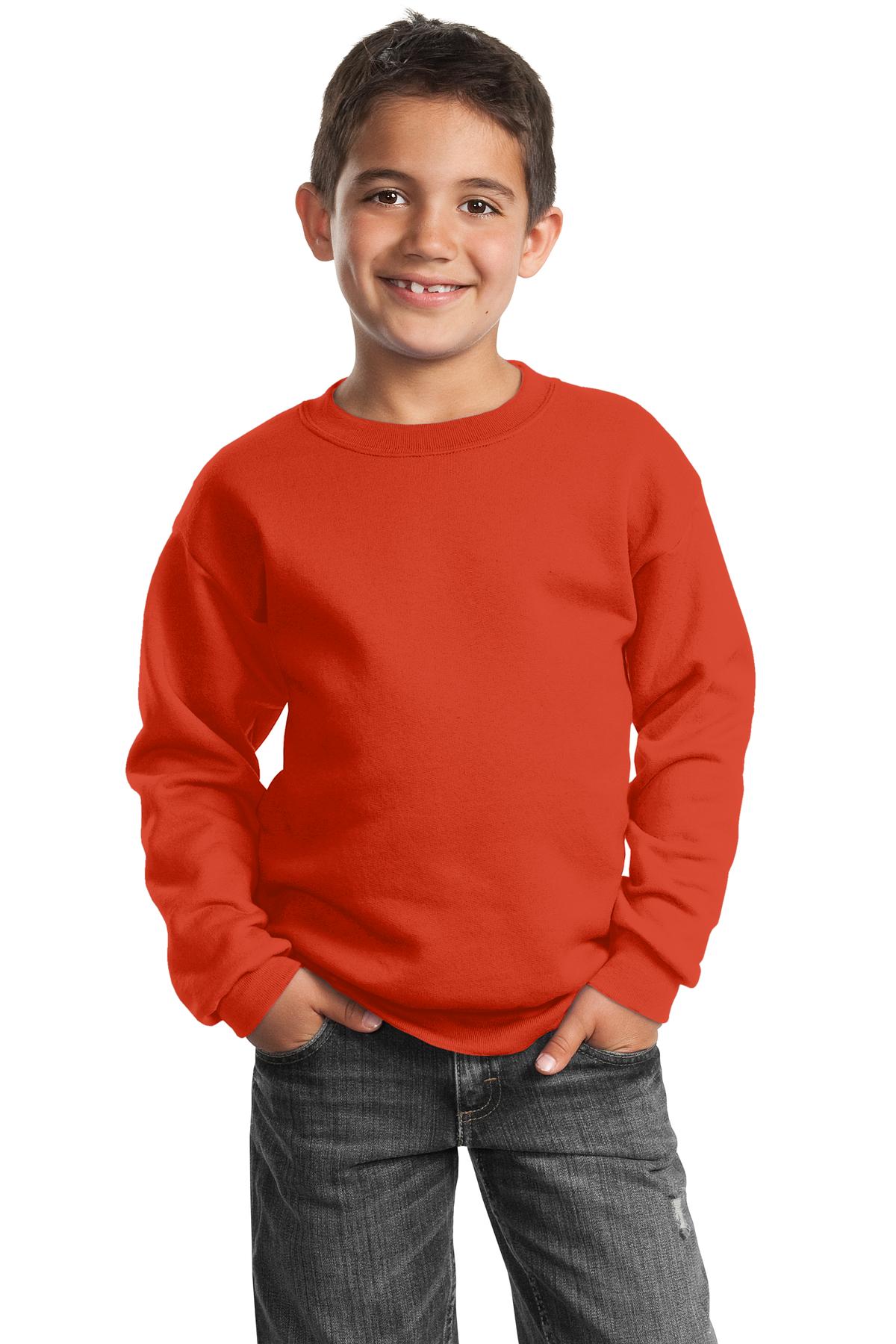 Port & Company PC90Y Youth Cotton/Poly Fleece Crewneck Sweatshirt - Pack Of 2 - Picture 16 of 21