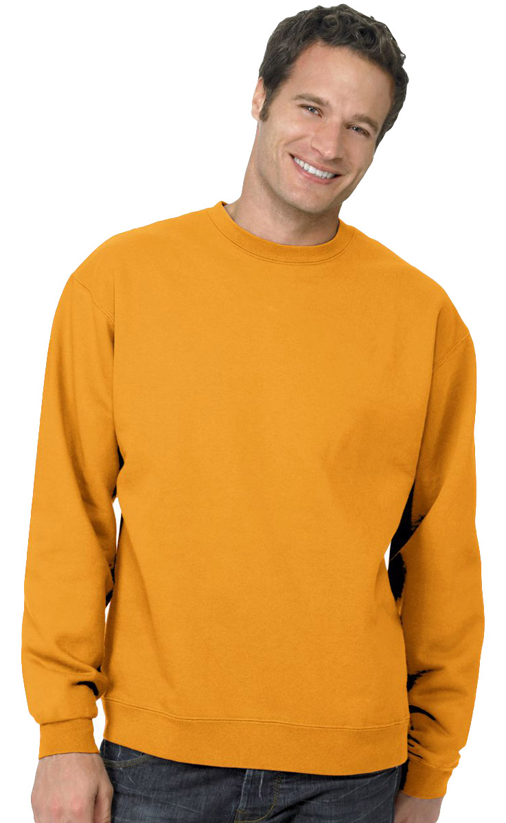 Hanes Men's Comfortblend Ecosmart Crewneck Sweatshirt, P160, S-5XL | eBay